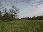Csombárdi rét-2
