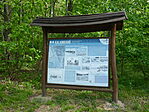 Deseda kalanderdő-1