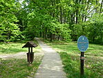 Deseda arborétum-1