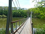 Deseda arborétum-2