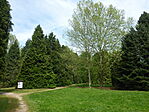 Deseda arborétum-3