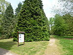 Deseda arborétum-4