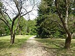 Deseda arborétum-5