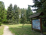 Deseda arborétum-6
