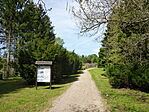Deseda arborétum-8