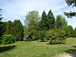 Deseda arborétum-9