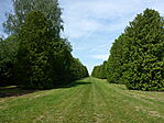 Deseda arborétum-11