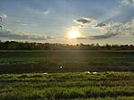 IMG_20240427_185549
