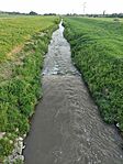IMG_20240427_190645