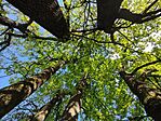 IMG_20240427_164226