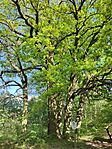IMG_20240427_164337