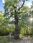 IMG_20240427_172133
