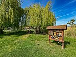 IMG_0280