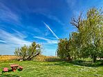 IMG_0282