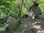 IMG_0310