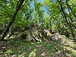 IMG_0314