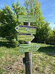 IMG_1837