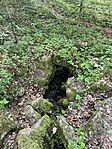 IMG_1830