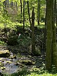 IMG_1827