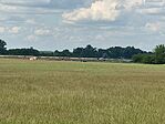 IMG_20240427_141544