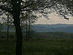 Kilátás