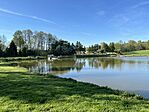 IMG_6593