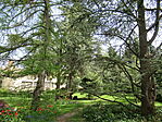 IMG_7511
