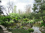 IMG_7542
