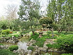 IMG_7541
