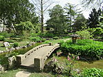 IMG_7554