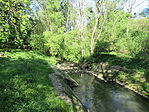 IMG_7965