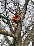 IMG_20240401_123310