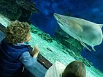 IMG_20240427_133234
