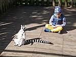 IMG_20240427_094313