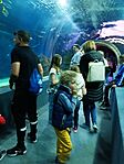 IMG_20240427_133152