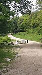 GCVB01_20240428_111308