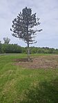GCVB01_20240428_115337