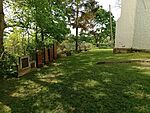 IMG_20240414_153445123_MFNR