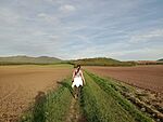 IMG_20240414_183456141_MFNR