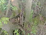 IMG_20240414_190117952_MFNR