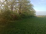 IMG_20240414_190208789_MFNR