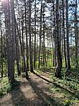 IMG_20240407_160104