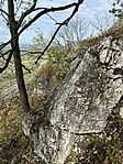 IMG_6540