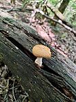 IMG_20240425_120414