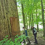 438267515_401978669371404_4470438183643614466_n