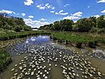 IMG_20240427_123325