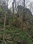 IMG_20240331_154419