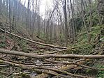 IMG_20240331_154543