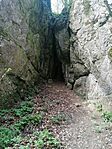 IMG_20240331_155130
