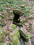 IMG_20240331_163316